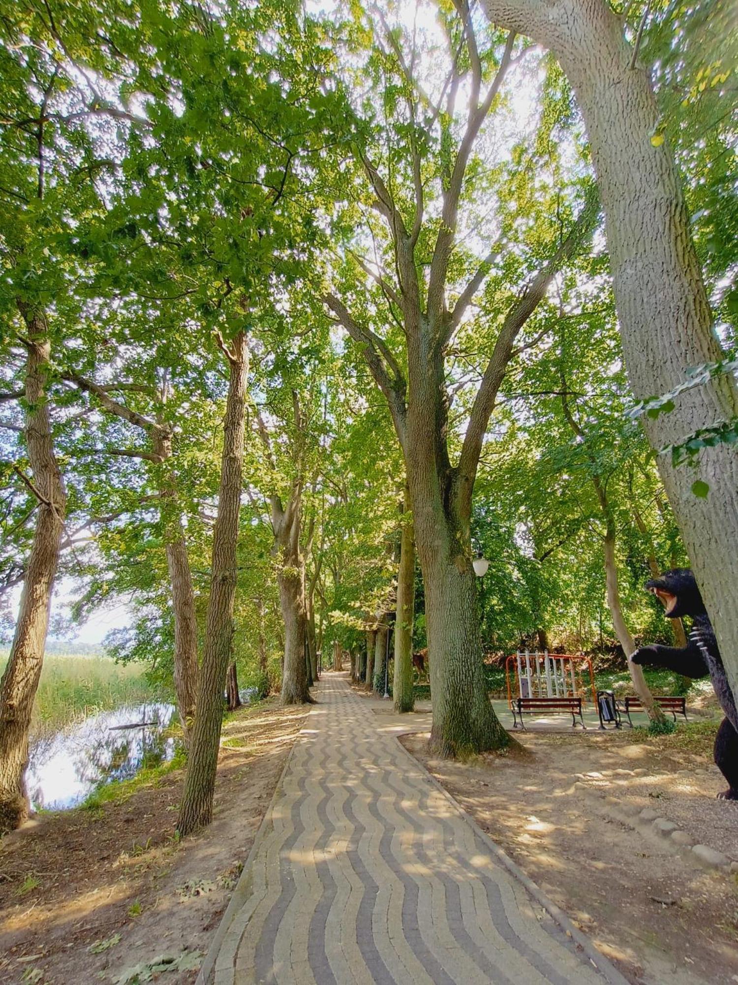 Domki Obok Plazy Moryn Esterno foto