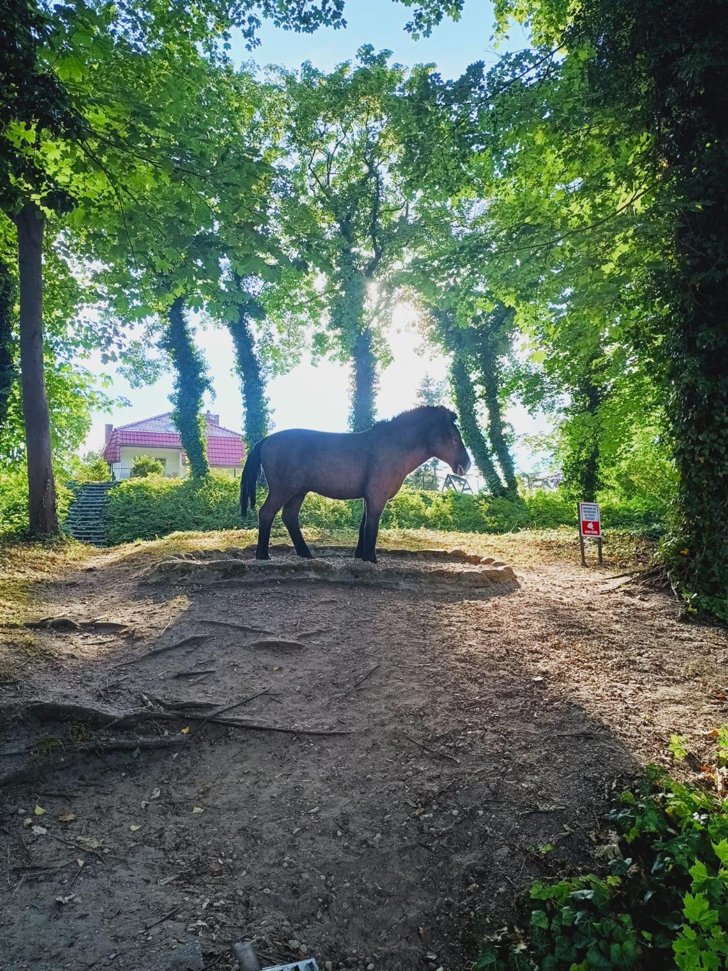 Domki Obok Plazy Moryn Esterno foto